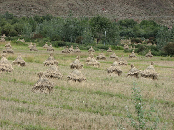 Gyantse 051